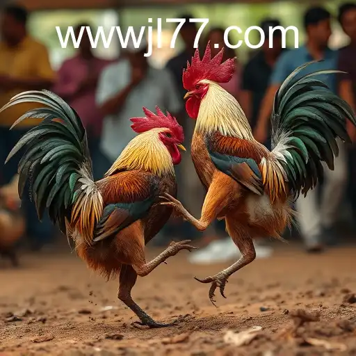 Exploring the Controversies and Traditions of Cockfighting